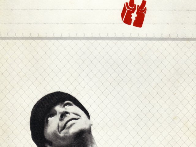 affiche_vol_coucou