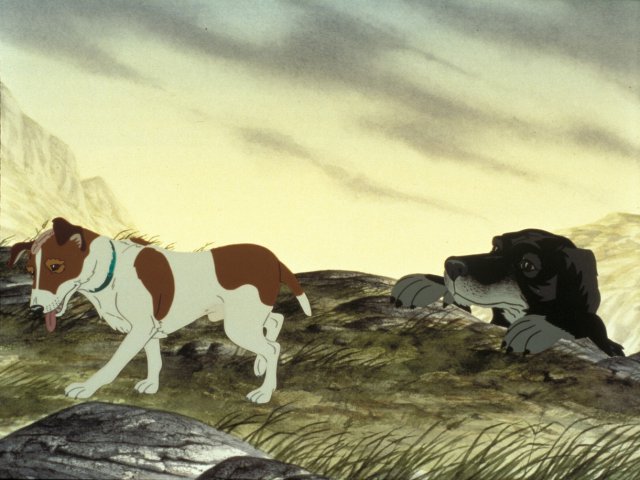 dogs_1