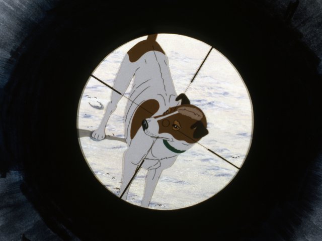 dogs_10