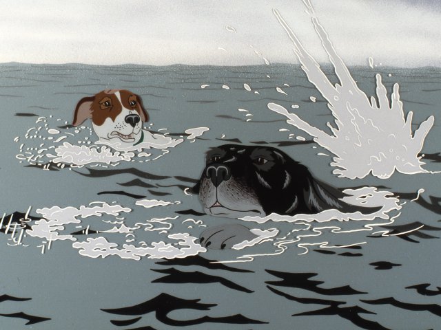 dogs_14