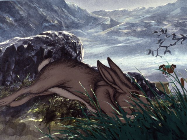 dogs_16