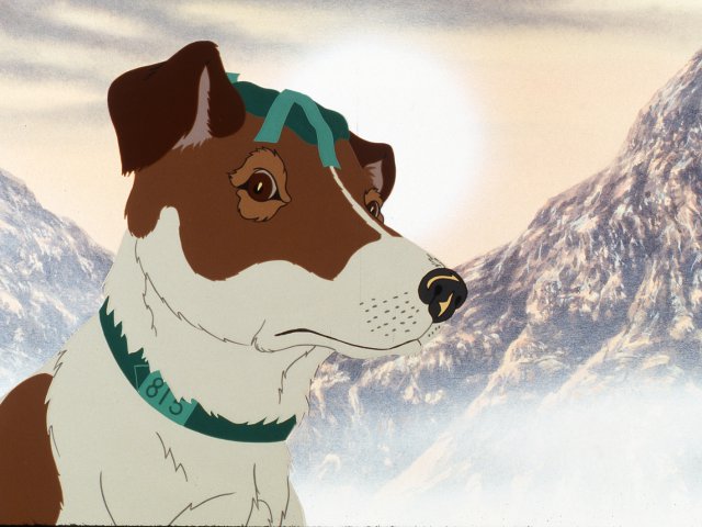 dogs_18