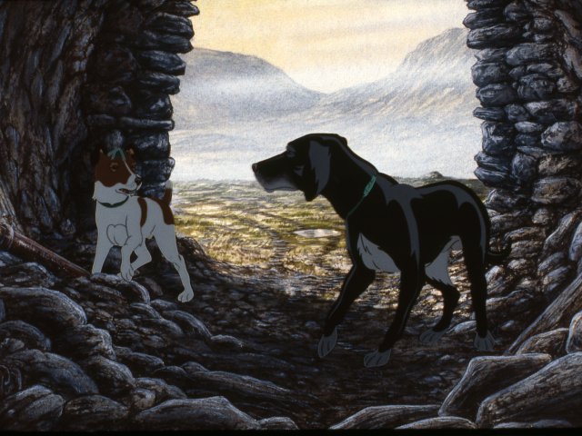dogs_20