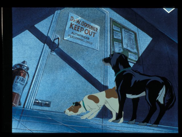 dogs_4