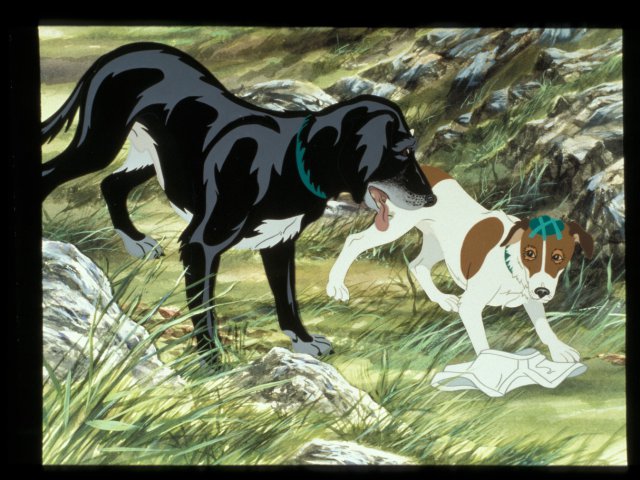 dogs_5
