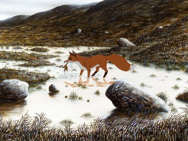 dogs_6bis