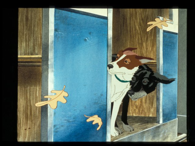 dogs_7