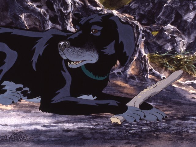 dogs_9