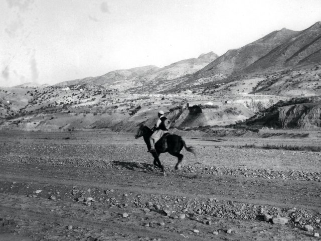 hors_la_loi3