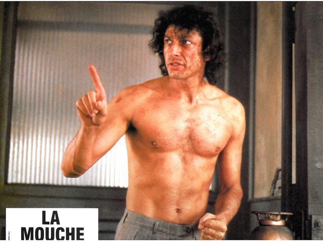 la_mouche11