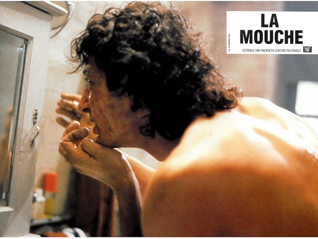 la_mouche7